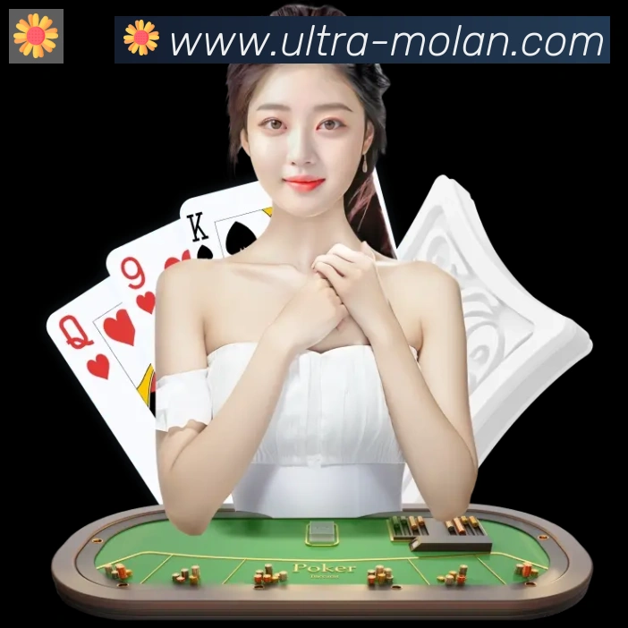 未来规划